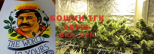 прущие крисы Белокуриха