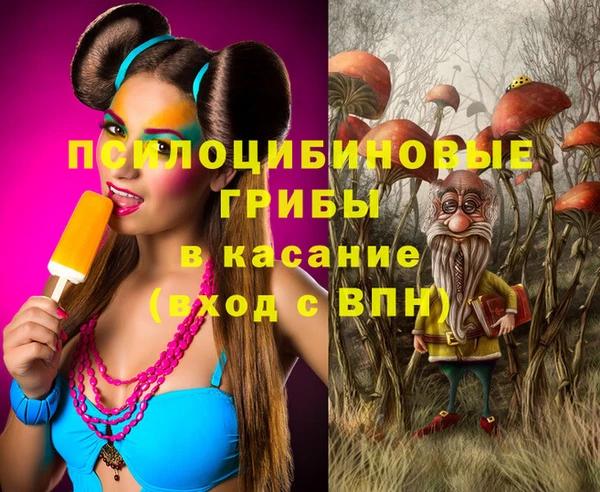 прущие крисы Белокуриха