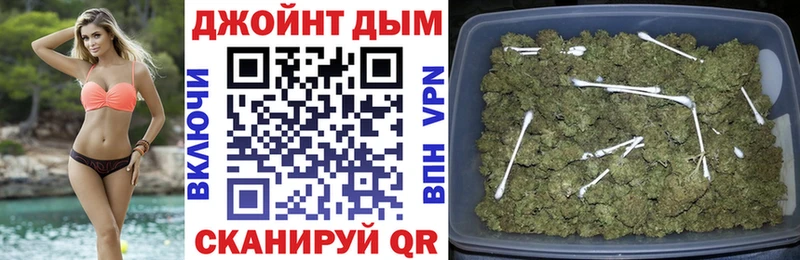 это как зайти  Дигора  Канабис семена 